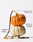 Sweet Cinnamon Pumpkin Body Lotion image number null