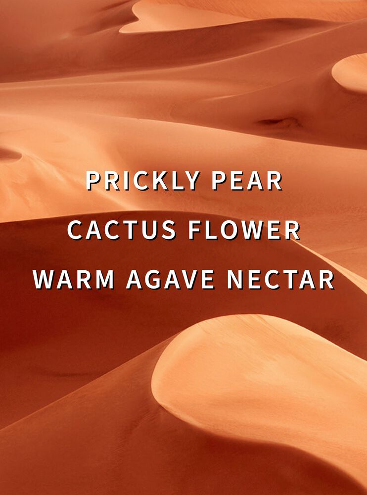 Wild Sand Moisturizing Body Wash Moisturizing Body Wash