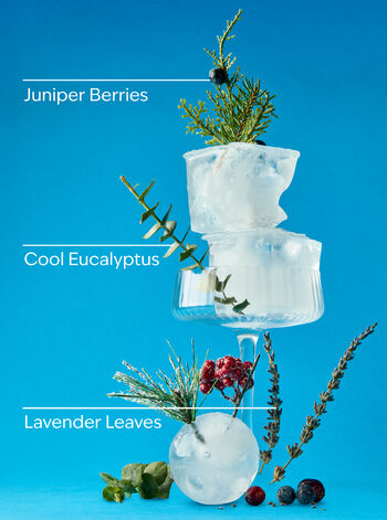 Frozen Lake Wallflowers Fragrance Refill Wallflowers Fragrance Refill