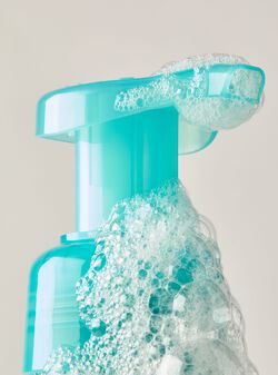 Frosted Forest Gentle & Clean Foaming Hand Soap image number null