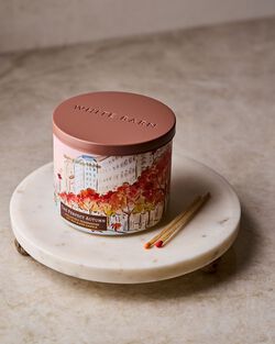 The Perfect Autumn 3-Wick Candle image number null