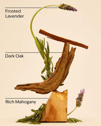 Mahogany Teakwood Gentle Foaming Hand Soap Gentle Foaming Hand Soap