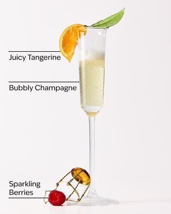 Champagne Toast Wallflowers Fragrance Refill Wallflowers Fragrance Refill