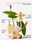 Forever Cherry Blossom Body Lotion image number null