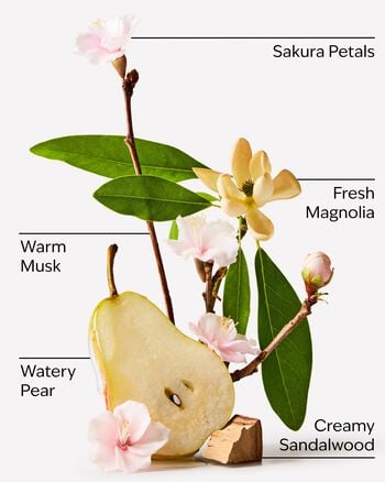 Forever Cherry Blossom Body Lotion Body Lotion