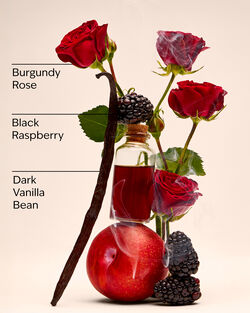 Dark Kiss Fine Fragrance Mist