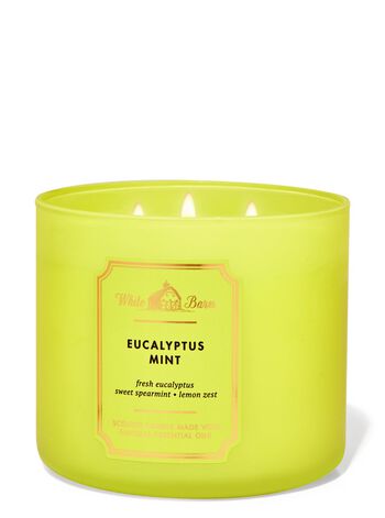 Eucalyptus Mint 3-Wick Candle 3-Wick Candle