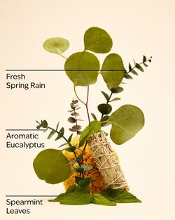 Eucalyptus Spearmint Moisturizing Body Lotion image number null