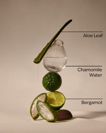 Fresh Rainfall PocketBac Hand Sanitizer PocketBac Hand Sanitizer