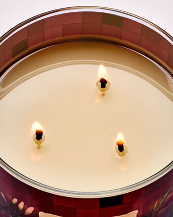 Poppy 3-Wick Candle 3-Wick Candle