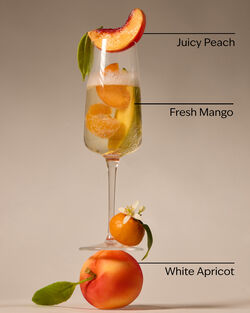 Peach Bellini Gentle & Clean Foaming Hand Soap image number null