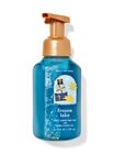 Frozen Lake Gentle Foaming Hand Soap image number null