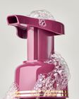 Rosewood & Suede Gentle & Clean Foaming Hand Soap image number null