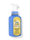 Wildberry French Toast Gentle & Clean Foaming Hand Soap image number null