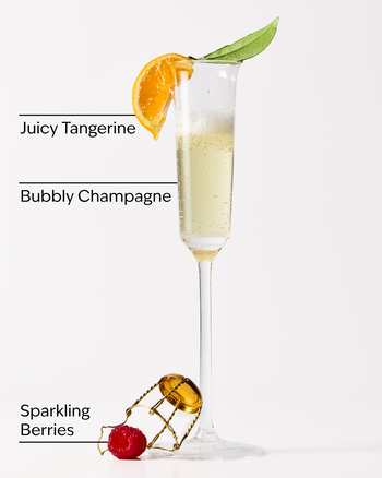 Champagne Toast Foaming Hand Soap Foaming Hand Soap