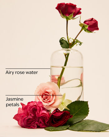 Rose Body Lotion Body Lotion