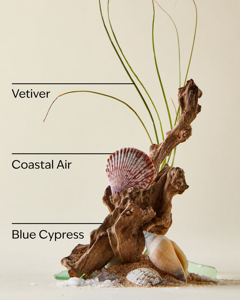 Ocean Shampoo Shampoo