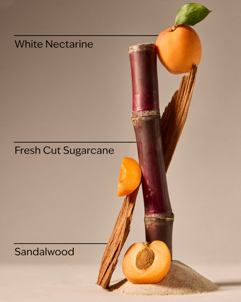 Fiji White Sands Single Wick Candle Single Wick Candle