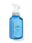 Crisp Morning Air Gentle Foaming Hand Soap image number null