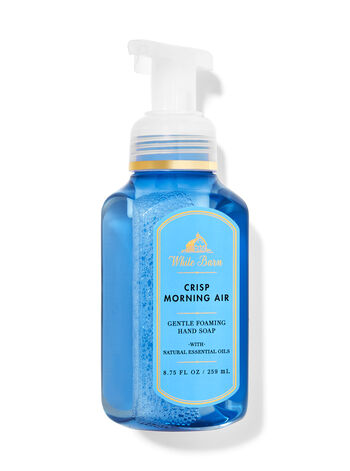 Crisp Morning Air Gentle Foaming Hand Soap Gentle Foaming Hand Soap