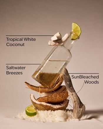 Waikiki Beach Coconut Wallflowers Fragrance Refill Wallflowers Fragrance Refill