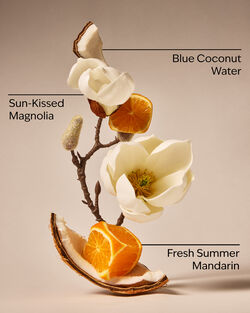 Endless Weekend Concentrated Room Spray image number null