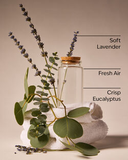 Laundry Day Wallflowers Fragrance Refill image number null