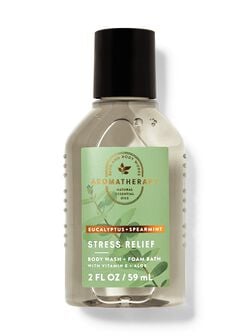 Eucalyptus Spearmint Travel Size Body Wash and Foam Bath