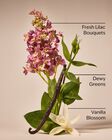 Pink Lilac & Vanilla 3-Wick Candle image number null