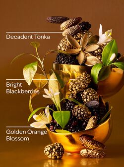 Touch of Gold Body Wash image number null
