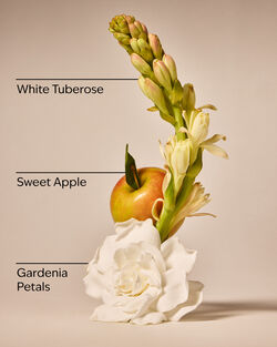 White Gardenia 3-Wick Candle image number null