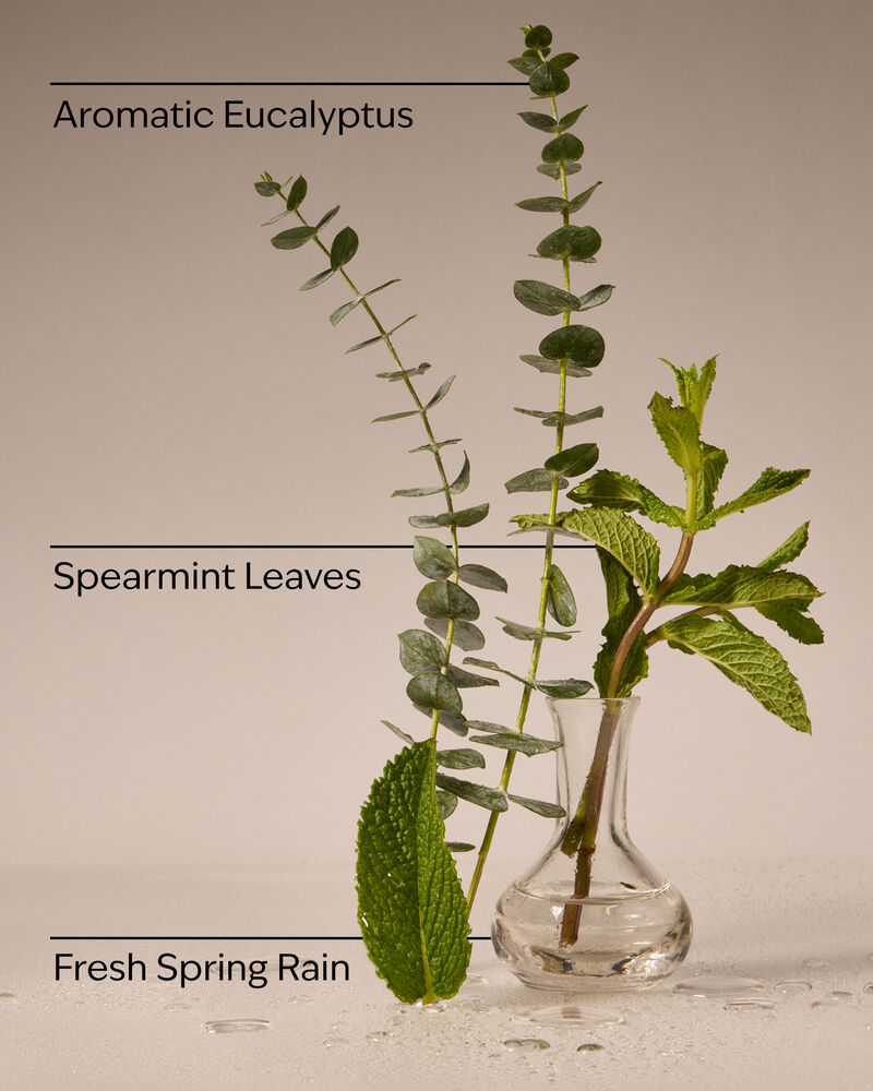 Eucalyptus Rain 3-Wick Candle 3-Wick Candle