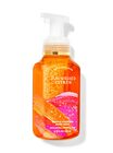 Sun-Washed Citrus Gentle Foaming Hand Soap image number null