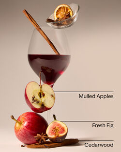 Wine Cellar 3-Wick Candle image number null