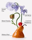 Sweet Pea Body Wash image number null