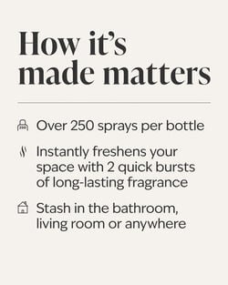 Eucalyptus Spearmint Concentrated Room Spray image number null
