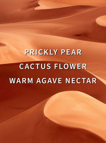 Wild Sand Moisturizing Body Wash Moisturizing Body Wash