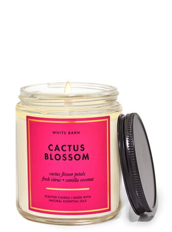Cactus Blossom Single Wick Candle Single Wick Candle