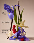 Butterfly Body Wash image number null