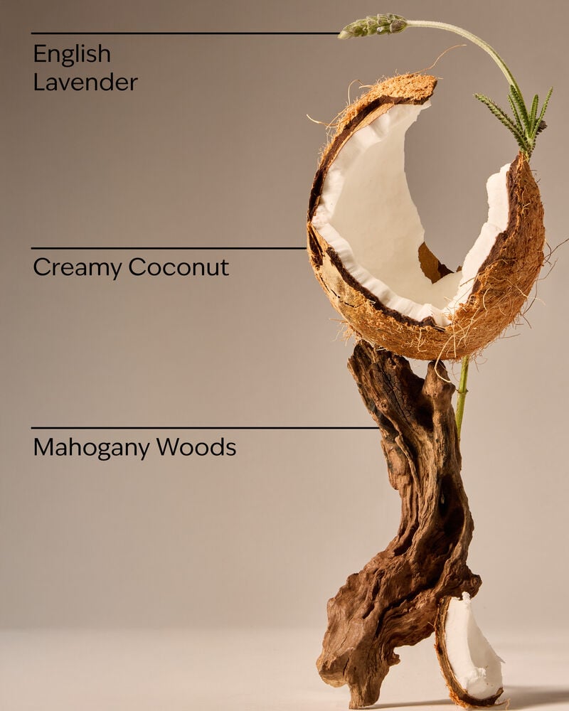 Mahogany Coconut Gentle & Clean Foaming Hand Soap Gentle & Clean Foaming Hand Soap