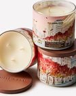 The Perfect Autumn 3-Wick Candle image number null