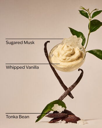 Wild Vanilla Travel Size Fine Fragrance Mist Travel Size Fine Fragrance Mist