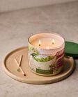 Cider Lane 3-Wick Candle image number null