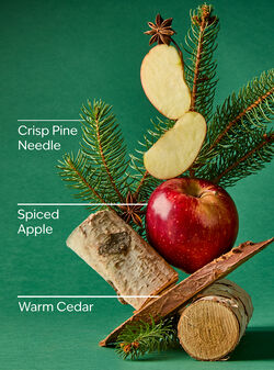 Tree Farm 3-Wick Candle image number null