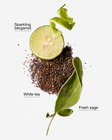 White Tea & Sage Concentrated Room Spray image number null