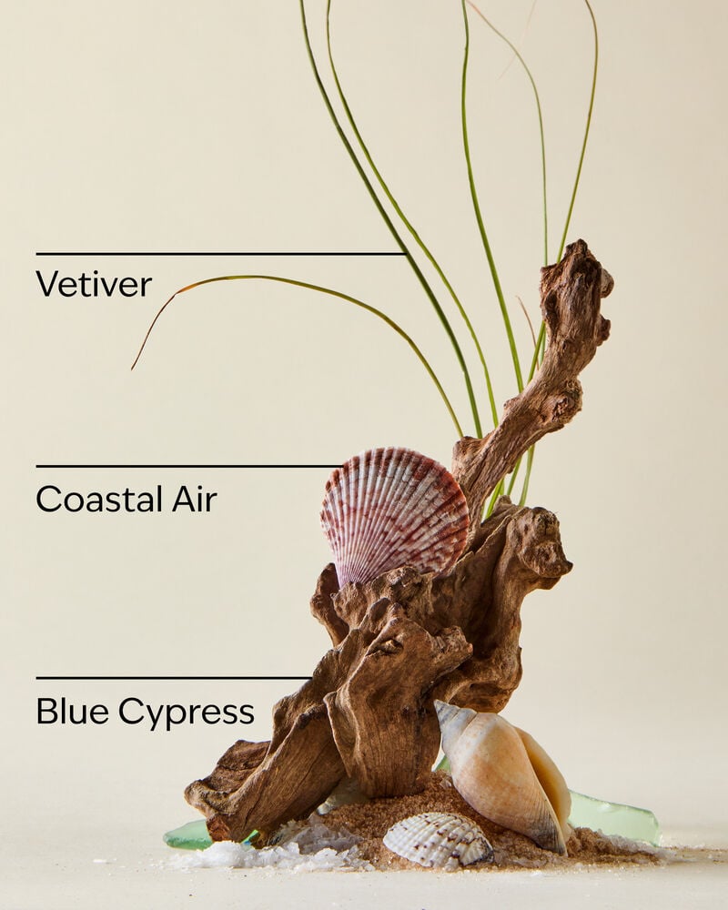 Ocean Body Scrub Body Scrub