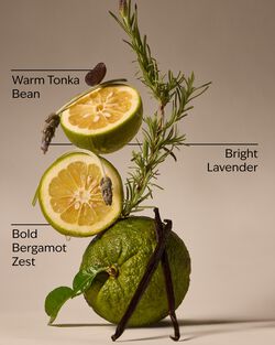 Lavender Bergamot 3-Wick Candle image number null