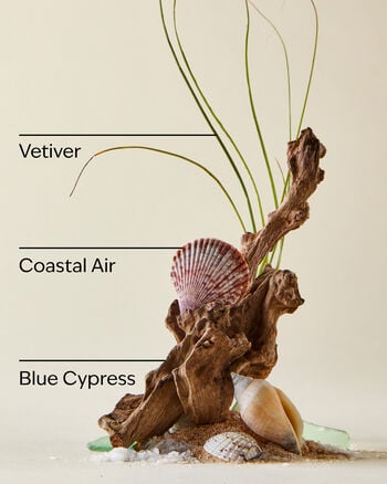 Ocean Body Spray Body Spray