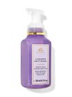 Lavender Driftwood Gentle & Clean Foaming Hand Soap image number null