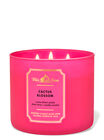 Cactus Blossom 3-Wick Candle image number null